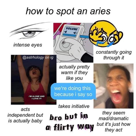 Aries Funny, Arte Aries, Astrology Signs Aries, Aries Personality, Aries Aesthetic, Aries Traits, Aries Zodiac Facts, Aries Astrology, Zodiac Funny