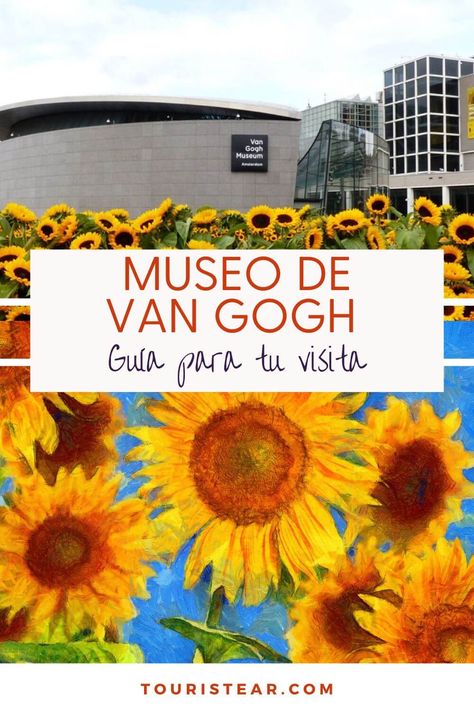 Si estás buscando una experiencia cultural en Amsterdam, no puedes perderte el Museo Van Gogh. Este museo es uno de los más populares del mundo y es el hogar de la colección más grande de obras de Vincent van Gogh, incluyendo más de 200 pinturas, 500 dibujos y 700 de sus cartas.  El museo fue... La entrada Visita el Museo Van Gogh en Ámsterdam se publicó primero en Touristear Travel Blog. Van Gogh Museum Amsterdam, Paul Gauguin, Vincent Van, Vincent Van Gogh, Van Gogh, Travel Blog, Amsterdam, Vision Board, Blog Posts