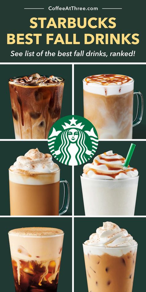 Starbucks Drinks Fall 2023, Non Coffee Starbucks Drinks Fall, Best Fall Hot Starbucks Drinks, Best Starbucks Fall Drinks, Best Starbucks Hot Drinks, Fall Drinks From Starbucks, Starbucks Fall Drink Orders, Fall Coffee Drinks Starbucks, Best Fall Drinks At Starbucks