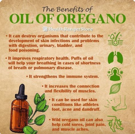 Health Benefits Of Oregano Oil, Oil Of Oregano Benefits How To Use, Oil Of Oregano Benefits, Oregano Oil Benefits, Oil Of Oregano, Oregano Essential Oil, Oregano Oil, Essential Oils Health, Essential Oil Blends Recipes