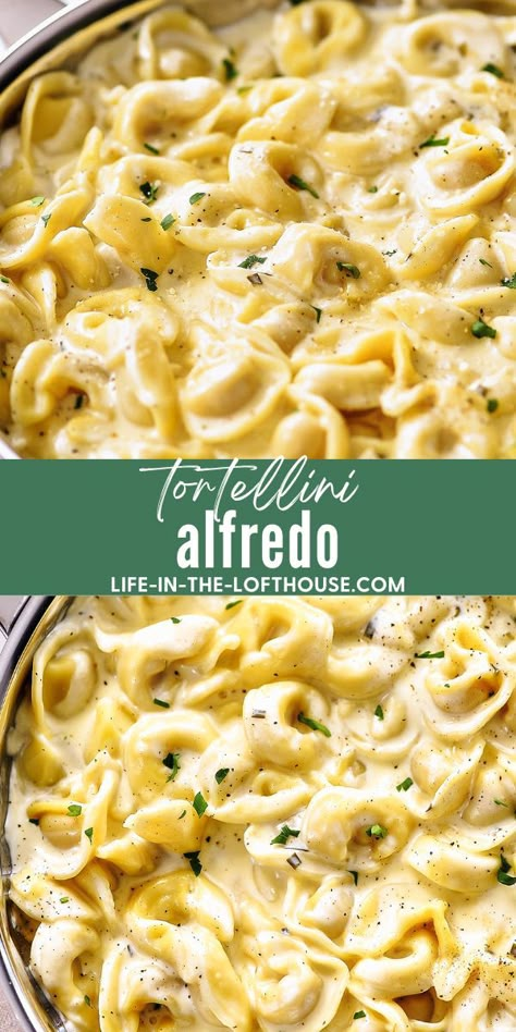 Tortellini Alfredo has rich and creamy Alfredo sauce poured over cheese-filled tortellini! This amazing recipe takes hardly any time to make! Fettucini Alfredo Recipe, Alfredo Tortellini, Alfredo Pasta Bake, Cheese Tortellini Recipes, Jarred Alfredo Sauce, Baked Chicken Alfredo Pasta, Tortellini Alfredo, Pasta Toppings, Creamy Alfredo Sauce