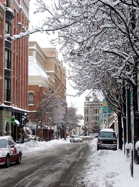 Snow in Victoria, British Columbia, Canada | by Tatius Victoria Bc Winter, University Of Victoria British Columbia, Vancouver Canada Houses, Victoria Island Canada, Snow In Canada, Bc Aesthetic, British Columbia Winter, Victoria Canada British Columbia, Snow Canada