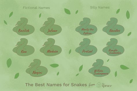 43 Unique Names for Pet Snakes Snake Names, Pet Snakes, Silly Names, Cool Snakes, Animal Names, Corn Snake, Snake Lovers, Cute Reptiles, Cute Snake