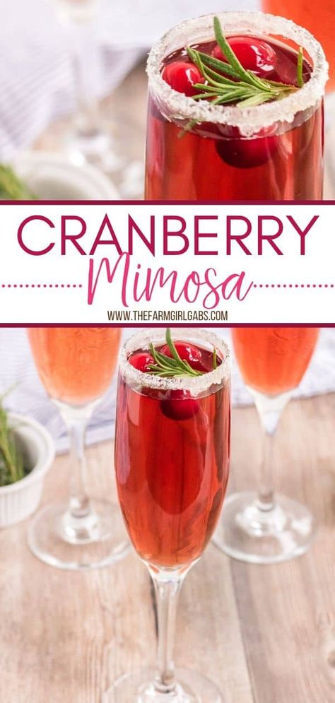 Toast the holiday season with this refreshing Cranberry Mimosa. This seasonal drink is perfect to serve at Thanksgiving, Christmas or to ring in the New Year. Your guests will love this easy drink recipe. #mimosa #cranberryrecipe #cocktail #Christmasrecipe Mimosa Recipe Orange, Poinsettia Drink, Cranberry Mimosa Recipe, Easy Christmas Cocktail, Cranberry Mimosas, Cranberry Mimosa, Christmas Cocktails Easy, Mimosa Cocktail, Amazing Drinks