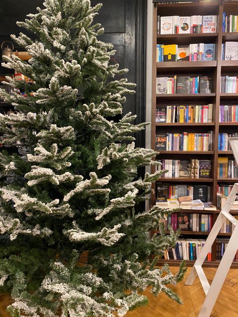 winter aesthetic with a gorgeus christmas tree pine and snow spirit inside a dark academia book store library Winter Library Aesthetic, Bookstore Christmas, Christmas Bookstore Aesthetic, The Christmas Tree Farm Book Aesthetic, Snowy Bookstore, The Christmas Bookshop, Dark Academia Book, Holiday Romance Books, Holiday Romance