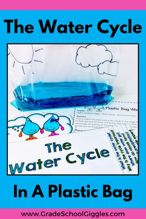 Have you ever made the water cycle in a baggie? It's a great hands-on water cycle project for kids. And the great thing is, making the water cycle in a bag is probably one of the easiest science experiments you'll ever do! Find some water cycle activities and sign up for a free water cycle worksheet. Get step-by-step activity directions to create your own water cycle model and learn about evaporation, condensation, and precipitation with your students. Hop on over to the blog and read more! Water Cycle In A Bag, Poetry Classroom, Water Cycle Model, Water Cycle Project, Water Cycle Activities, Water Cycle Worksheet, Easy Science Projects, Teacher Checklist, The Water Cycle