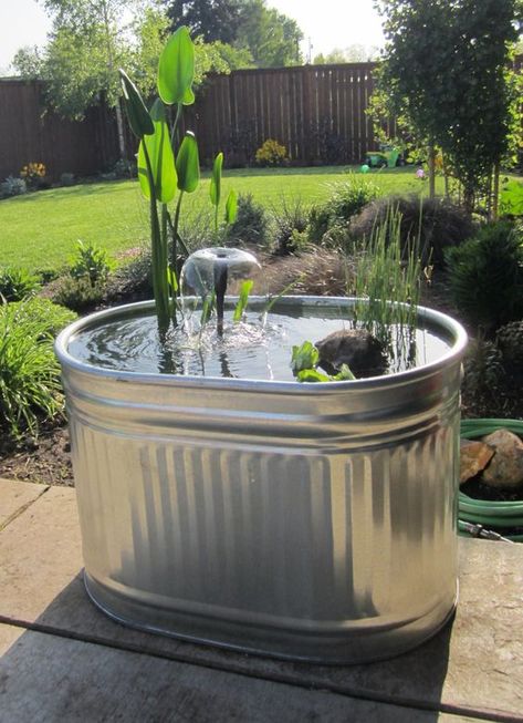 Water trough mini ponds are a sight to behold! Don't forget to throw in a fountain, some fish, and maybe some night lighting for dramatic effect! | #ContainerWaterGardens #ContainerPond #GalvanizedTrough #PondIdeas Fish Fountain, Small Water Gardens, Indoor Pond, Mini Pond, Container Water Gardens, Patio Pond, Diy Water Feature, Turtle Habitat, Goldfish Pond