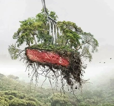 “Industrial meat is leaving a trail of destruction all over the world. One of the most useful things everyone can do to combat climate change, soil, air and water pollution, is to eat less meat and dairy. #ActOnClimate #ClimateCrisis #climate #energy #noplanetB” Forest Destruction, Agriculture Art, Cattle Rearing, Rainforest Deforestation, Reasons To Go Vegan, Cow Products, Environmentally Friendly Living, Animal Agriculture, Eat Beef