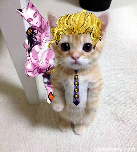 Kira Yoshikage Manga, Yoshikage Kira Pfp, Kira Yoshikage Wallpaper, Jojo Cat, Kira Yoshikage, Yoshikage Kira, Horror Sans, Jojo Reference, Adventure Cat