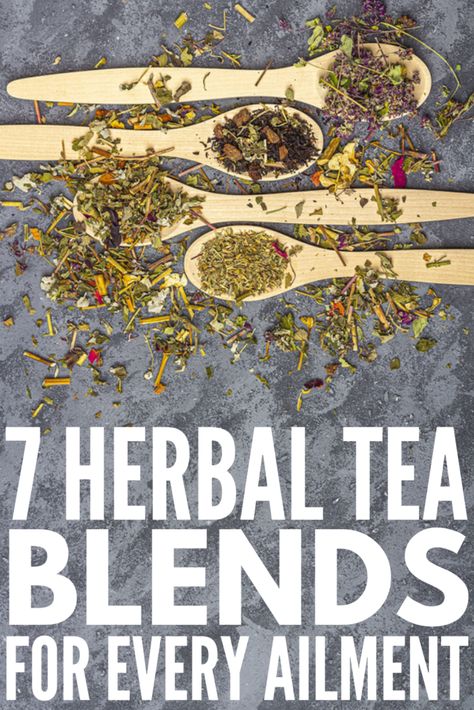 Herbal Tea 101: 7 Tea Remedies for Every Ailment Herbal Tea Photography, Herbal Tea Recipes Homemade, Tea Blends Recipes, Herbal Tea Garden, Herbal Tea Benefits, Tea Remedies, Herbal Remedies Recipes, Best Herbal Tea, Medicinal Herbs Garden