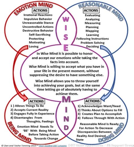 Dialectical Thinking, Summary Worksheet, Dbt Skills Worksheets, Mindfulness Worksheets, Dbt Therapy, St Charles Missouri, Wise Mind, Dbt Skills, Clinical Social Work