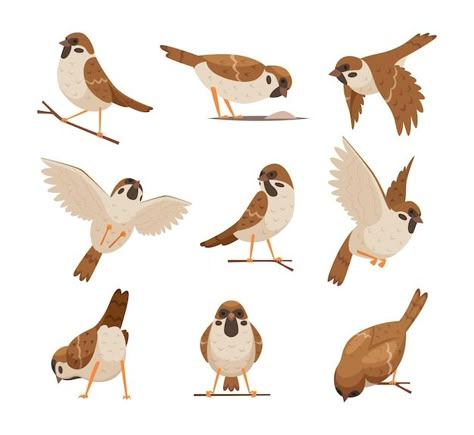 Premium Vector | Disabled people. Bird Character Illustration, Birds Cartoon, Bird Character, Brown Birds, Bird Reference, Sparrow Art, Birds Illustration, Bird Cartoon, Illustration Art Kids