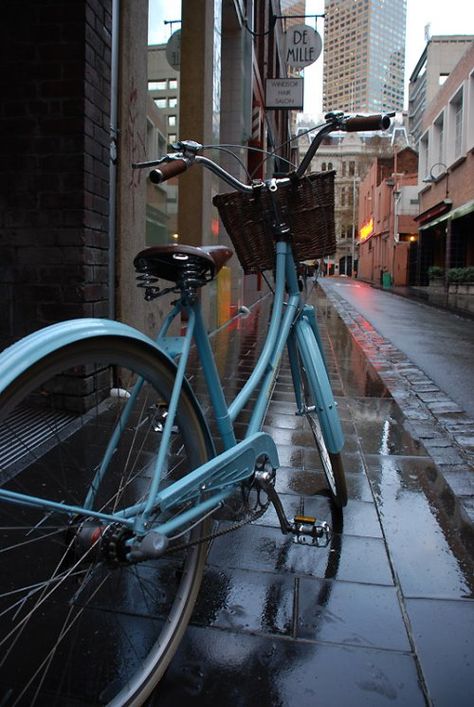 rain, cruiser Giant Bicycle, Bicycle Built For Two, Dutch Bike, Bicycle Chic, Blue Bike, Bike Aesthetic, Bicycle Pedal, New Bicycle, Riding A Bicycle