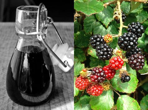 Blackberry Vinegar Blackberry Vinegar, Diy Vinegar, Wheat Flour Recipes, Roasted Beetroot, Blackberry Sauce, Flavored Vinegars, Infused Vinegars, Blackberry Recipes, Random Recipes