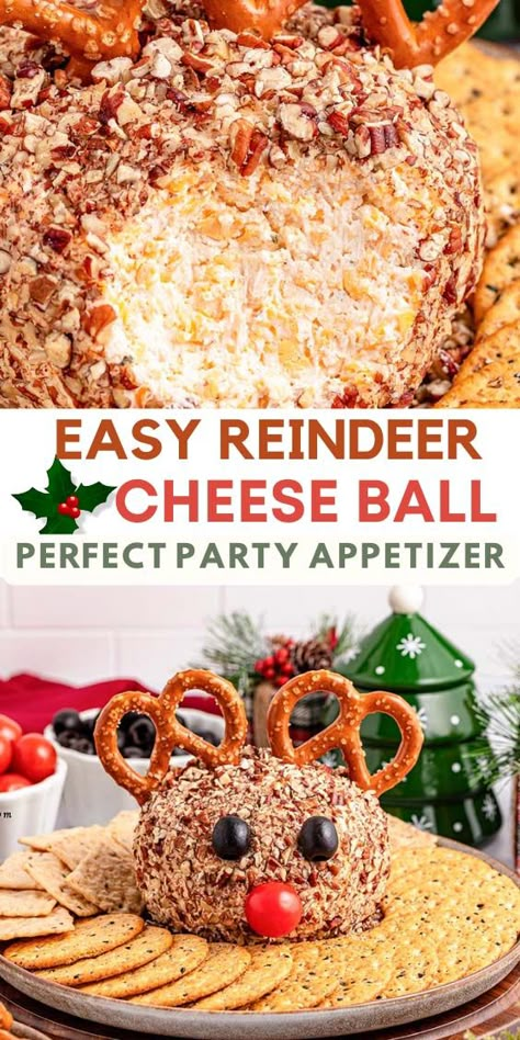 Reindeer Cheese Ball (Perfect Christmas Appetizer) Holiday Appetizers Christmas Easy, Christmas Work Party Food Ideas, Rudolph Cheese Ball Recipes Easy, Christmas Potluck Snack Ideas, Rudolph Mini Cheese Balls, Holiday Apps Christmas, Hallmark Christmas Party Food Ideas, Cheese Ball For Thanksgiving, Christmas Party Food Idea