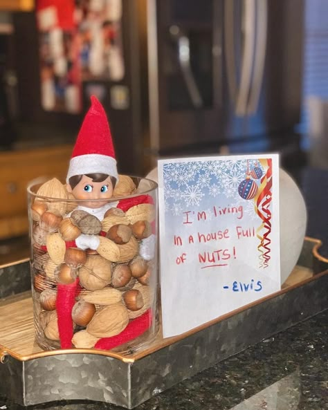 Elf On The Shelf Pet Ideas, Elf Shenanigans, Elf Ideas Easy, Elf Magic, Awesome Elf On The Shelf Ideas, Elf Activities, Xmas Elf, Elf Antics, Elf Fun