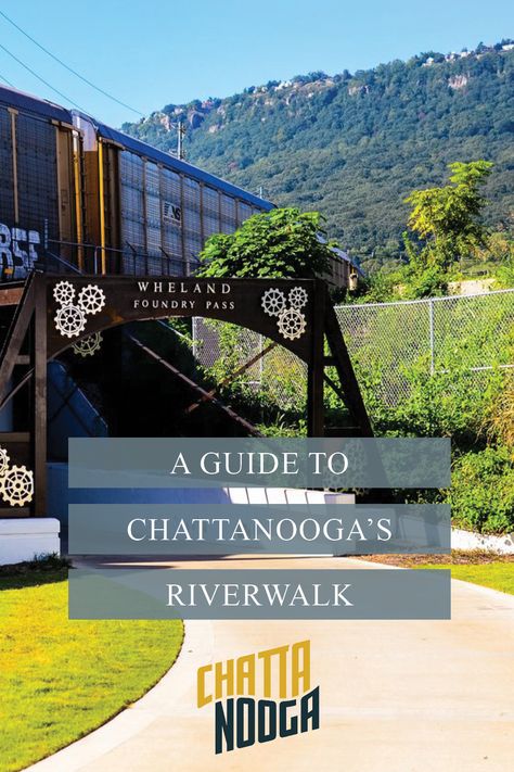 Chattanooga Tennessee Things To Do Kids, Chattanooga Tennessee Dog Friendly, Chattanooga Itinerary, Chattanooga Tennessee Nightlife, Day Trip To Chattanooga, Chattanooga Riverwalk, Tennessee Aquarium, Chattanooga Tennessee, Tennessee Travel