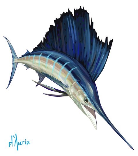 Sailfish Sailfish Art, Sail Fish, Blue Marlin Fish, Marlin Fish, Salt Water Fish, Theme Tattoo, Blue Marlin, Marine Fish, Underwater Creatures