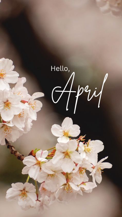 Hello Months Of The Year, Aesthetic April Wallpaper, Hello April Wallpaper, April Phone Wallpaper, Monthly Backgrounds, April Wallpaper, New Month Wishes, August Wallpaper, Instagram Design Creative