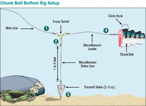 Saltwater Rigging Basics | New Hampshire Saltwater Fishing ... Surf Fishing Tips, Surf Fishing Rigs, Pesca In Mare, Bottom Fishing, Salt Water Fishing, Bass Fishing Tips, Surf Fishing, Fishing Rigs, Fishing Techniques