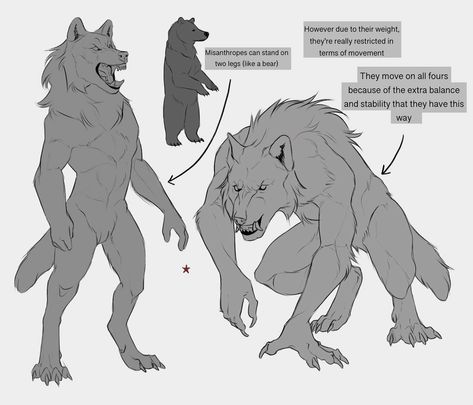 Pose Reference Werewolf, Werewolf Anatomy Design Reference, Werewolf Drawing Refrences, Wolf Person Drawing, Werewolf Drawing Poses, Werewolf Body Reference, Werewolf Reference Pose, Wolf Fur Pattern, Werewolf Side View