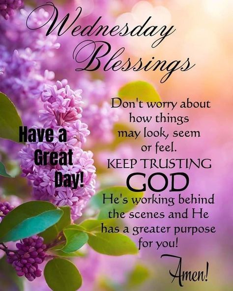 Wednesday Morning Images, Divine Inspiration And Prayers, Wednesday Morning Greetings, Prayer Quotes Positive, Good Morning Thursday Images, Wednesday Morning Quotes, Wednesday Greetings, Wednesday Blessings, Inspirational Quotes Encouragement