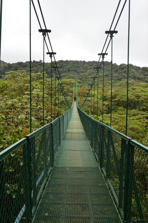 The Selvatura Adventure Park in Monteverde, Costa Rica Costa Rica Backpacking, Alex Costa, Monteverde Costa Rica, Costa Rica Adventures, Costa Rica Trip, America Trip, Travel Vision Board, Costa Rica Vacation, Pure Imagination