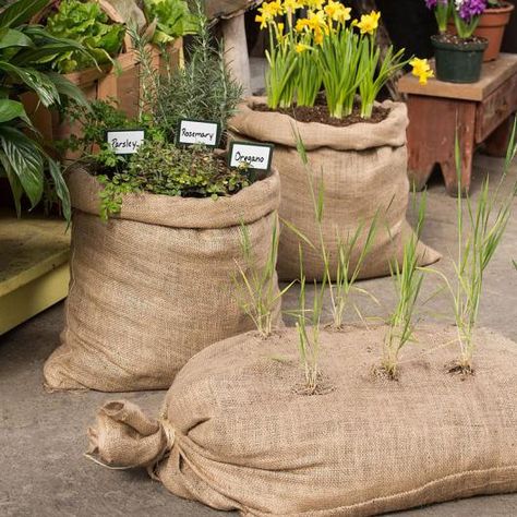 burlap gardens - still looks pretty. I need something for the porch - maybe this? Plant Bags, Burlap Projects, Garden Bags, Burlap Bags, Grow Plants, Grow Bags, Veggie Garden, Growing Food, Garden Accessories