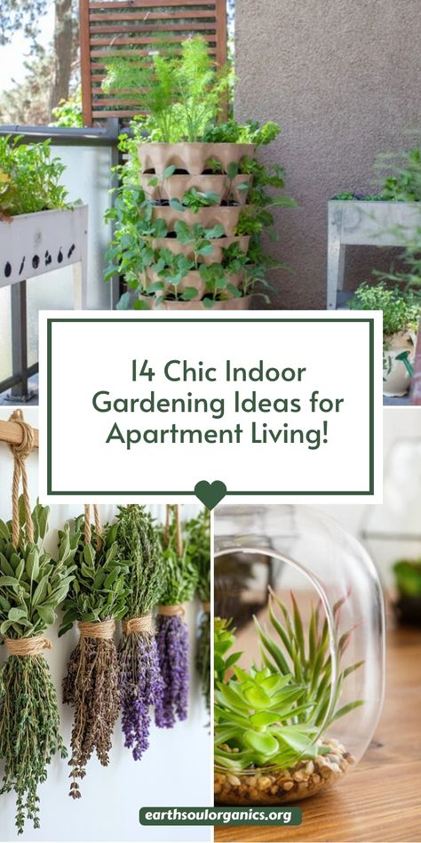 Ready to give your apartment a green makeover? Check out these stylish and functional indoor gardening ideas. Whether you dream of a sunny indoor garden room or want to maximize your basement space, you’ll find plenty of inspiration to keep your apartment lush! #IndoorGardenRooms #PhillyApartment #IndoorGardeningIdeas Shower Garden Indoor, Indoor Gardening Ideas, Indoor Garden Apartment, Indoor Garden Rooms, Growing Plants Indoors, Best Indoor Plants, Indoor Gardens, My Apartment, More Life