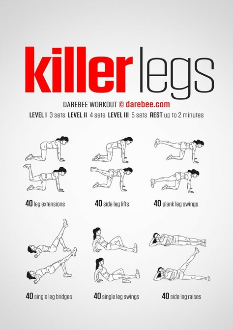 Darebee Workout, Killer Leg Workouts, Pilates Workout Routine, Leg Workout At Home, Killer Legs, Trening Fitness, Yoga Exercises, Body Workout Plan, At Home Workout Plan