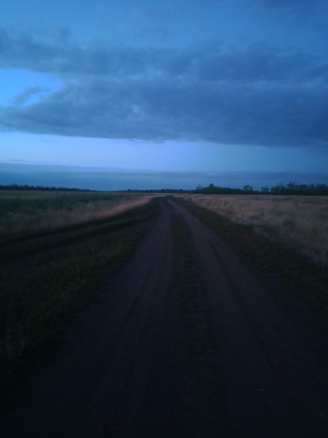 #russia#forest#path#aesthetics Russia Forest, Forest Path, Russia, Country Roads, Forest, Quick Saves