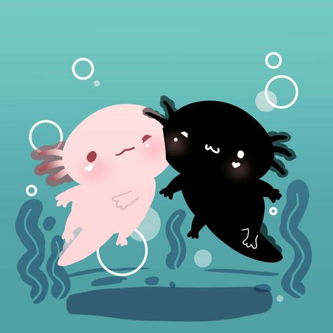 Cute Axolotl, Water, Animals, Pink, Black