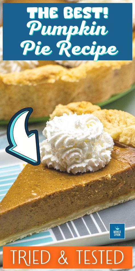 Best Pumpkin Pie Recipe Punking Pie Recipe, Pumpkin Pie Condensed Milk, From Scratch Pumpkin Pie, Pumpkin Pie Recipe From Scratch, Pumpkin Pie Easy, Pumpkin Spice Pie, Recipe For Pumpkin Pie, The Best Pumpkin Pie, Pumpkin Pie From Scratch