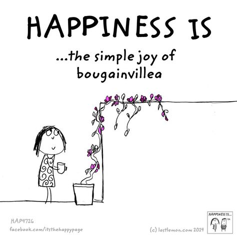 Bougainvillea Quotes, Quotes Flower, Cute Happy Quotes, What Is Happiness, Rose Quotes, Life Is What Happens, Soothing Quotes, Reasons To Be Happy, Happiness Project