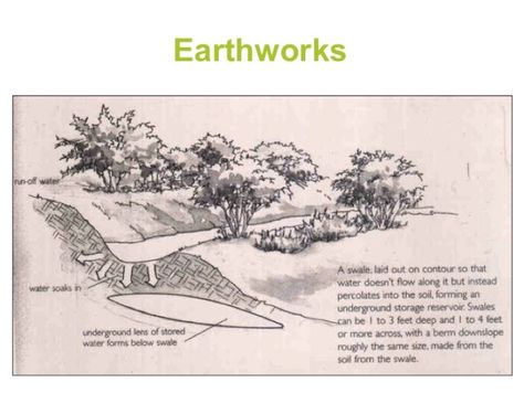 Permaculture Projects, Permaculture Design Course, Permaculture Gardening, Permaculture Design, Aquaponics System, Rainwater Harvesting, Food Forest, Rain Water Collection, Water Management