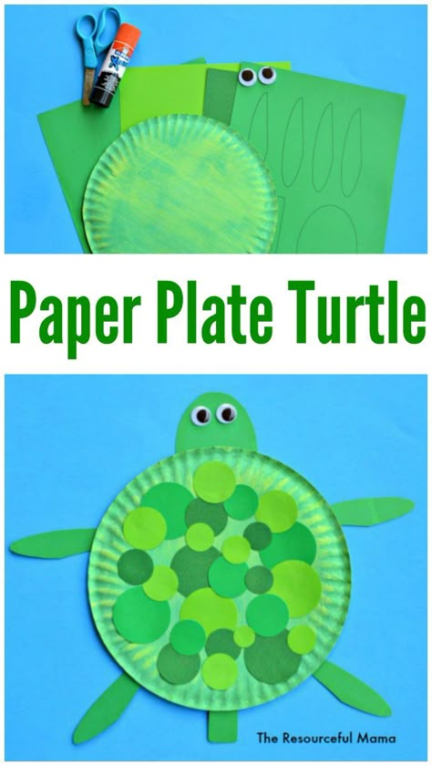 Paper plate turtle craft for kids Paper Plate Turtle, Turtle Craft, Babysitting Activities, Turtle Crafts, Paper Plate Crafts For Kids, Paper Plate Crafts, Daycare Crafts, Plate Crafts, Toddler Art