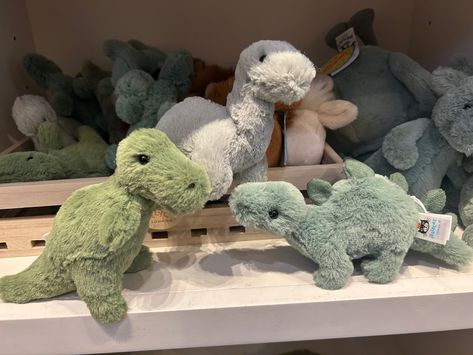 Small green jellycat plushies Jelly Cat Dinosaur, Dinosaurs Plushies, Dino Jellycat, Dinosaur Jellycat, Green Jellycat, Jellycat Dinosaur, Jellycat Plushies, Dinosaur Plushies, Dinosaur Plushie