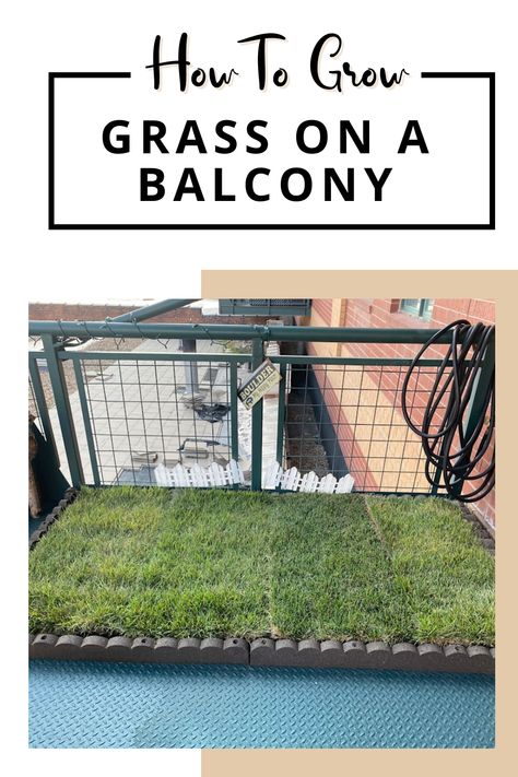 Patio Grass For Dogs, Real Grass On Balcony, Balcony Pet Potty, Dog Patio Ideas Apartment, Private Balcony Ideas, How To Grow Grass, Fake Grass For Dogs, Porch Potty, Dog Potty Area