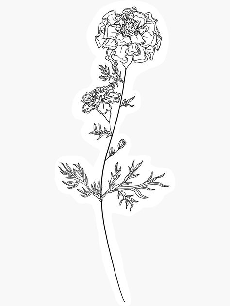 Mary Gold Flower Drawing, French Marigold Tattoo, Marigold Flowers Tattoo, Marigold Rib Tattoo, Marigold Flower Sketch, Marigold Tattoo Design Black And White, Marigold Cosmos Flower Tattoo, Marigold Spine Tattoo, October Flowers Birth