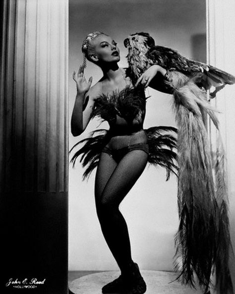 Lili St Cyr, George Hurrell, Holly Madison, Vintage Burlesque, Burlesque Costumes, Ghost In The Machine, Hollywood Icons, Va Va Voom, Mambo