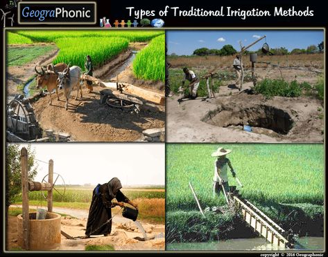 Game : Traditional Methods of irrigation  #Traditional Methods, Traditional, #Methods, #irrigation, #watering, #oldfashioned, #Chain #pump irrigation, Chain ,pump , #chainpump, #geographonic, #fertile, #Moat ,#pulley, #irrigationsystem, #DhekliSystem, #Dhekli , #Rahat, #India, #Indian, #asian, #method, #developing, #poor, #poverty, #humangeography, #human #geography, #geographonic, Nerves In Leg, Atmospheric Circulation, Joints Anatomy, Irrigation Methods, Geography Quizzes, Micro Sprinkler, Types Of Bones, Quiz Names, Science Images