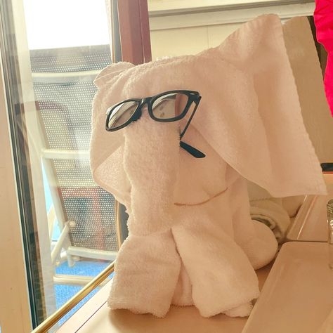 Whenever we cruise with our kids (and sometimes when it's just the grown-ups) our room stewards delight us with towel animals. Our youngest LOVED that they put his sunglasses on the elephant! What are some of the creative towel animals you've seen? Share pictures! #spotlightcruising #cruiselife Cruising Tips, Towel Animals, Grown Ups, Our Kids, Tips And Tricks, Ups, Elephant, Sunglasses, Animals