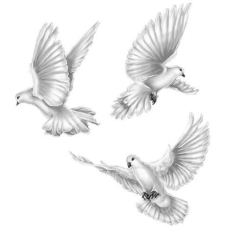 Duif tattoo Dove In Clouds Tattoos, Tattoo Crane, Pigeon Tattoo, Dove Drawing, Dove Tattoo Design, Vogel Tattoo, Dove Tattoos, Heaven Tattoos, Dove Tattoo