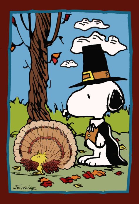 Snoopy Bolo Snoopy, Thanksgiving Snoopy, Peanuts Thanksgiving, Thanksgiving Flag, Charlie Brown Thanksgiving, Woodstock Snoopy, Thanksgiving Pictures, Thanksgiving Blessings, Thanksgiving Images