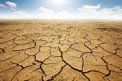 Dried land with cracked ground. Desert , #Ad, #land, #Dried, #cracked, #Desert, #ground #ad California Drought, Watercolor On Wood, Wall Decor Pictures, Glass Pictures, Desert Landscaping, Canvas Pictures, Picture Wall, Graphic Art Print, Painting Prints