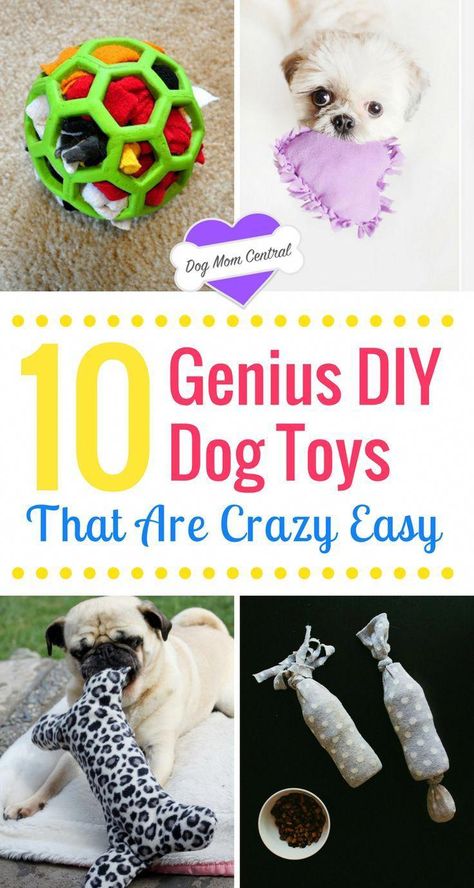 Dogs adore these DIY dog toys. These tutorials are insanely easy and create homemade dog toys that keep your pup occupied and engaged. #CanineObedience Homemade Dog Toys, Dogs Diy Projects, Diy Pet Toys, Diy Dog Toys, Positive Dog Training, Easiest Dogs To Train, Basic Dog Training, Best Dog Toys, Dog Projects