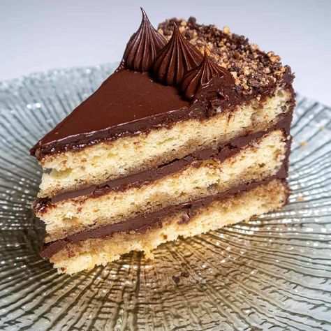 Hazelnut Gianduja Cake - Pastries Like a Pro Gianduja Cake, Hazelnut Dessert, Cake Pastries, Lemonade Cake, German Foods, Cool As A Cucumber, Lemon Mousse, Hazelnut Cake, Blueberry Sauce