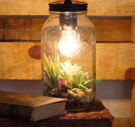 How to make a lamp terrarium Lamp Terrarium, Terrarium Lamp, Tabletop Terrarium, Mason Jar Terrarium, Bottle Terrarium, Make A Lamp, Living Wall Art, Indoor Greenhouse, Flower Lamp