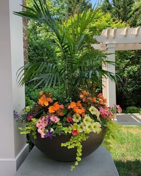 Hawaiian Backyard Landscaping, Pots In Garden, Plant Garden Ideas, Garden Ideas Decoration, Tropical Planter, Potted Plant Garden, Patio Flower Pots, Planter Arrangements, Decoration Plants