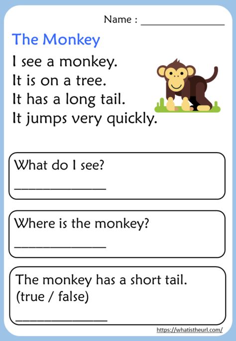 Kindergarten Reading Comprehension Passages - Your Home Teacher Kindergarten Reading Comprehension, Phonics Reading Passages, First Grade Reading Comprehension, Reading Comprehension For Kids, Reading Comprehension Kindergarten, English Worksheets For Kindergarten, Kindergarten Reading Activities, Reading Comprehension Lessons, Grammar For Kids